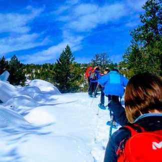 Raquetes de neu