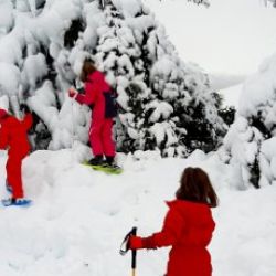 Raquetes de neu