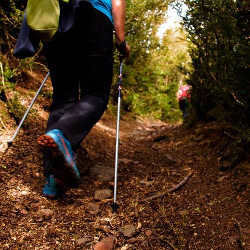 Iniciación a ‘Nordic Walking’