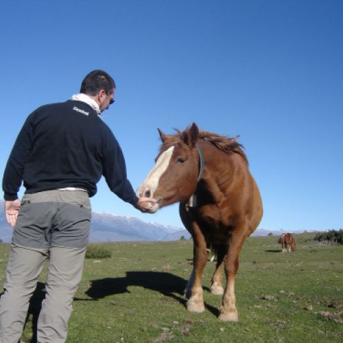 Imágenes de La Cerdanya