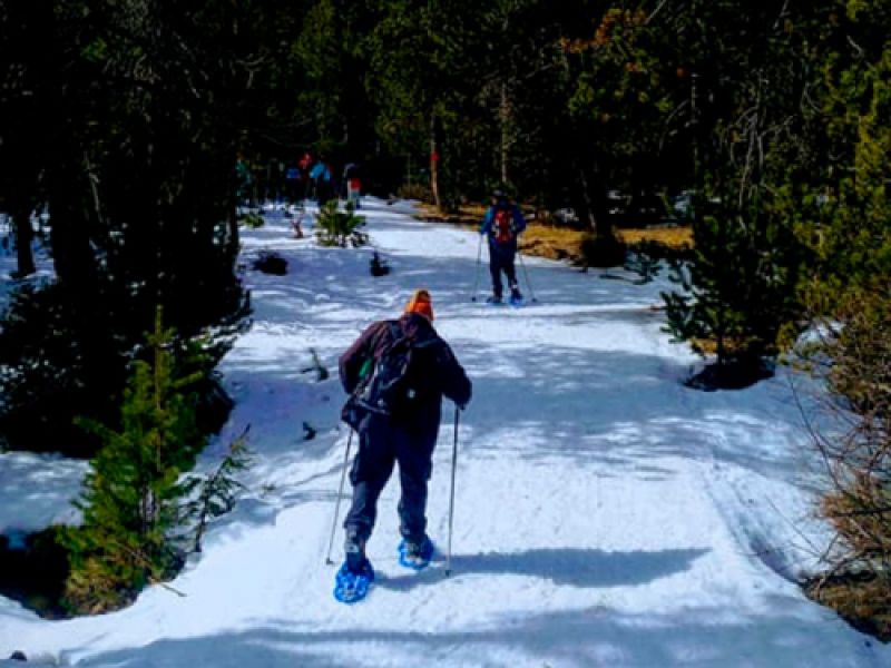 raquetas de nieve