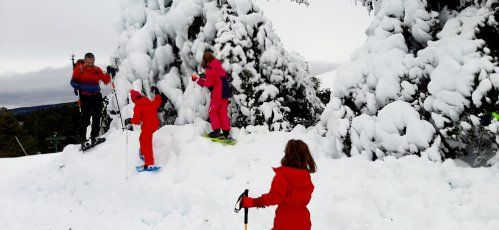 Raquetes de neu